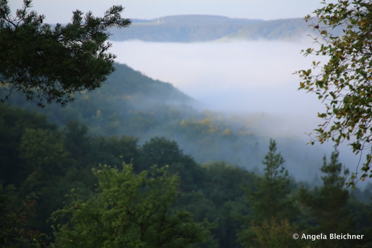 In den fränkischen Weinbergen